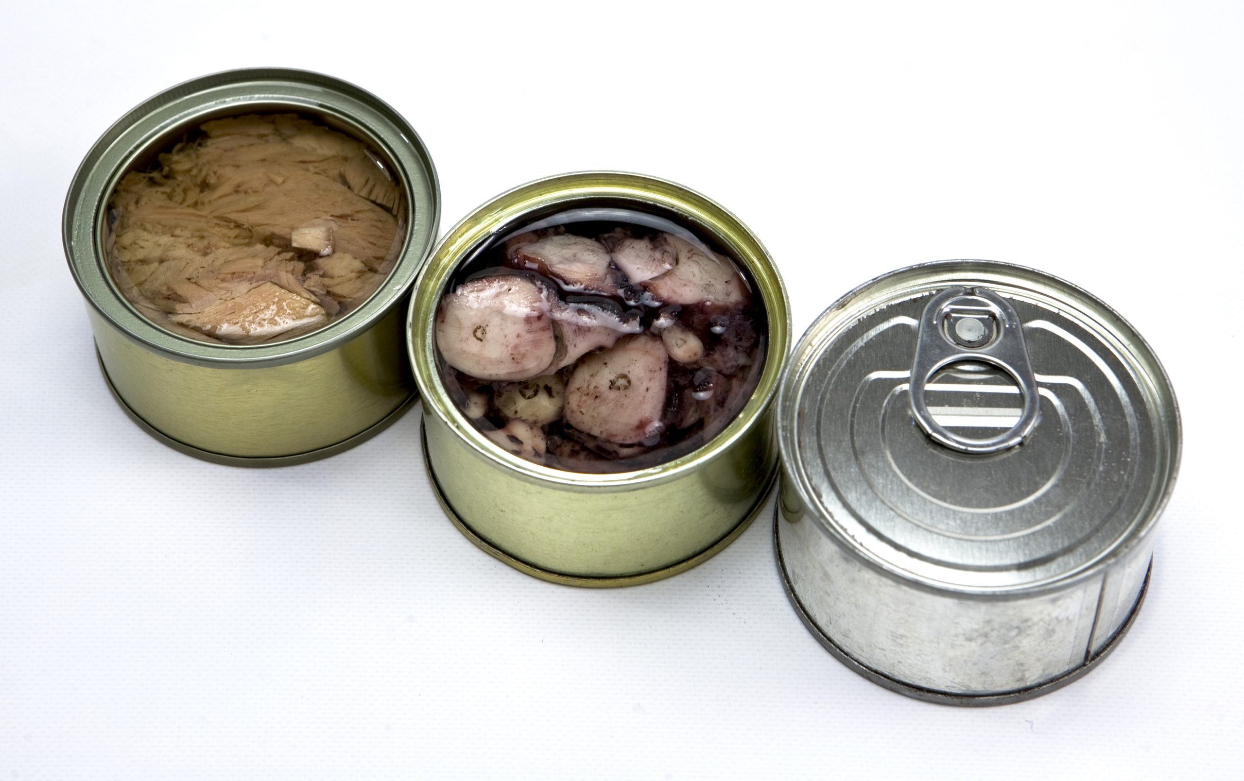 How long does canned fish last